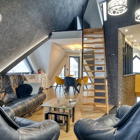 Diamond Hill Veselic *