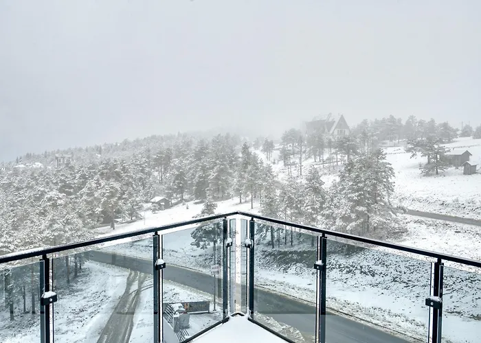 Diamond Hill Veselic * Divčibare